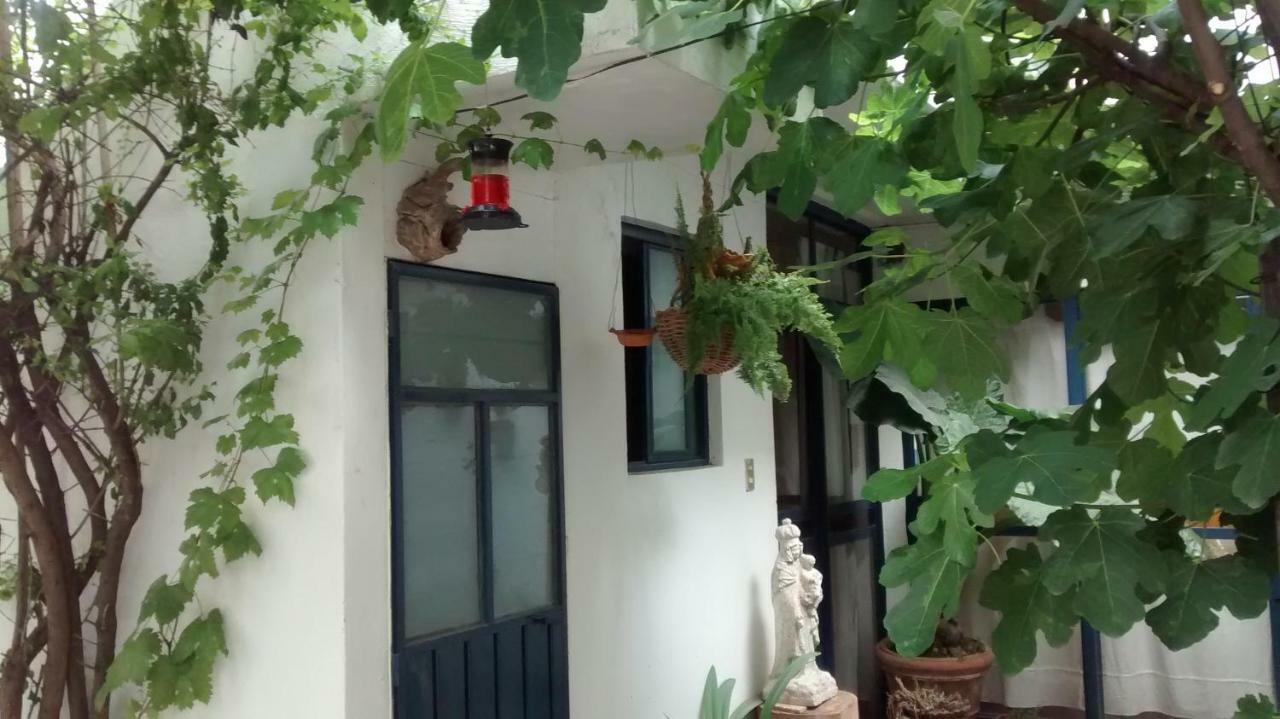 Hostal El Cascabel Cholula Exterior photo